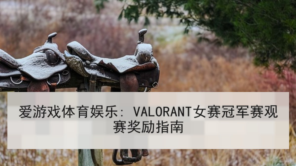 爱游戏体育娱乐: VALORANT女赛冠军赛观赛奖励指南