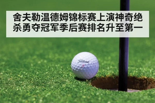 舍夫勒温德姆锦标赛上演神奇绝杀勇夺冠军季后赛排名升至第一